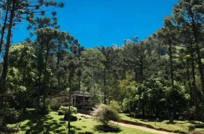 Locação de trutário com restaurante e cachoeiras – 1.400m de altitude em são francisco xavier