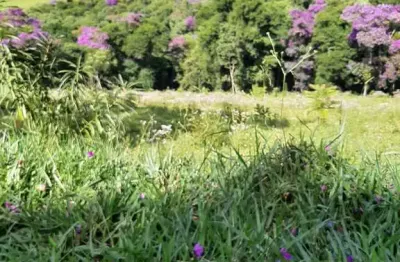 Sítio com vista maravilhosa área excelente para plantio de oliveira e café