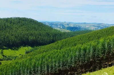 Chácara / sítio com 1 quarto à venda na Zona Rural, Igaratá 