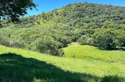 Chácara / sítio com 2 quartos à venda no Centro, Cunha 