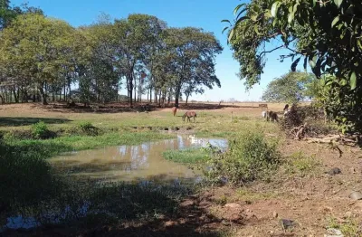 Chácara / sítio com 1 quarto à venda no Centro, Miguelópolis 