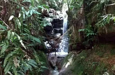 Sítio em caçapava sp com quedas d'água e muita mata (ideal para chalés)