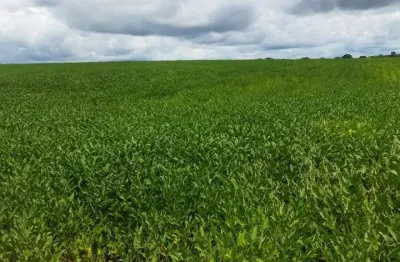 Chácara / sítio com 1 quarto à venda no Centro, Frutal 