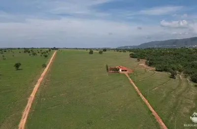 Fazenda à venda na Alexandrina, Quirinópolis 