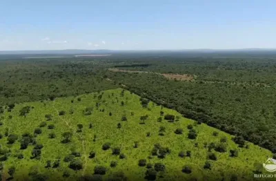 Fazenda à venda no Centro, Arinos 