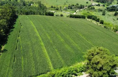 Fazenda à venda no Centro, Paraibuna 