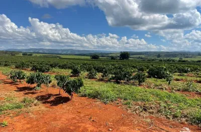 Fazenda à venda no Centro, Piumhi 