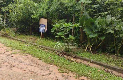 Oportunidade de comprar seu terreno na praia massaguaçu
