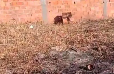 Terreno à venda na Avenida Principal, 115, Robalo, Aracaju