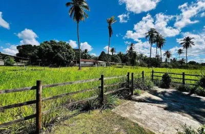 Lote à venda em rua pública, centro, itaporanga d'ajuda, se