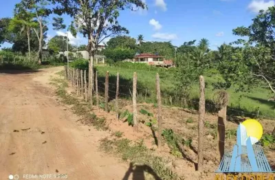 Lote à venda em rua pública, centro , mata de são joão, ba