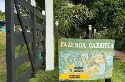 Chácara / sítio com 3 quartos à venda na Rua Velosa do Meio, 1, Japu, Ilhéus