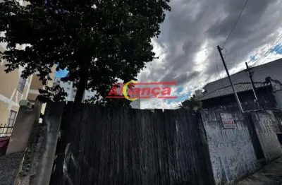 Terreno para alugar,  480m²- bairro - macedo - guarulhos/sp - por r$ 5.000,00