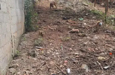 Terreno   a  venda   na  zona  sul     no jardim  cerejaira            sona sul   com 125 metros