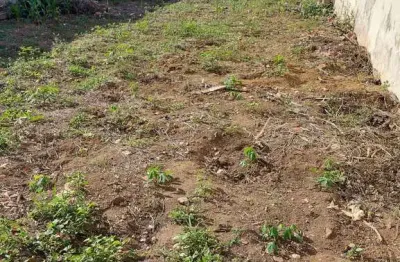 Terreno com 297,62m², plano, perto de comércios e residências, rua com muito movimento, excelente localização