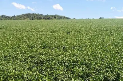Chácara / sítio com 1 quarto à venda na 00, 1, Centro, Tomazina