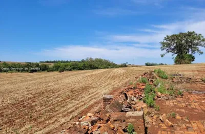 Chácara / sítio com 1 quarto à venda na ÁGua Do Abóbora - As Margens Da Rodovia Engenheiro ÂNgelo Lopes, 00, Água Das Abóboras, Ibiporã