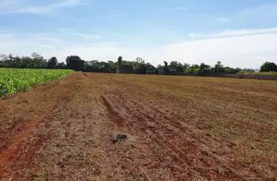 Chácara / sítio com 1 quarto à venda na Rodovia Mabio Gonçalves Palhano, 4200, Gleba Fazenda Palhano, Londrina