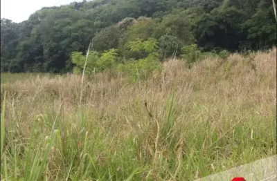 Chácara / sítio com 1 quarto à venda na Sítio Estância Rodrigues, 1, Água dos Cágados, Tamarana