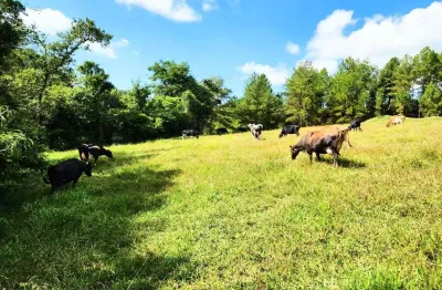 Chácara / sítio com 1 quarto à venda na Ibaiti, 00, Centro, Ibaiti