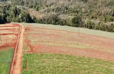 Chácara / sítio com 1 quarto à venda na Área Rural, 00, Área Rural de Cambé, Cambé