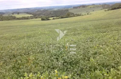 Fazenda 76 alqueires. (1.840.960 m²) à venda – beira do asfalto, assis/sp