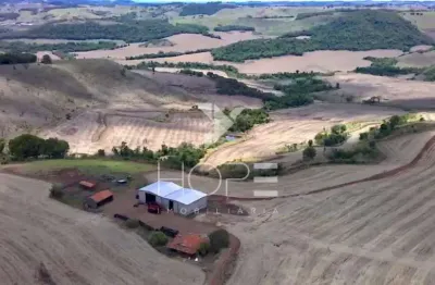 Fazenda de 116,5 alqueires em apucarana – oportunidade única para investidores e produtores rurai
