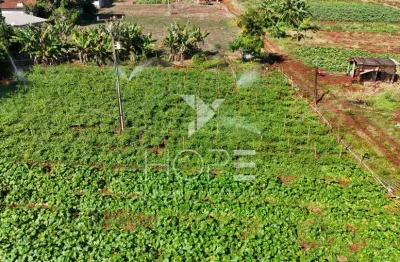 Chácara / sítio com 1 quarto à venda na Estr. Do Limoeiro, S/n, Km 5, Limoeiro, Londrina