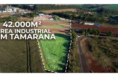 Área industrial 42.000 m² à venda – rod. vitório francovig, tamarana/pr (norte do paraná)