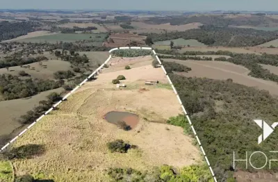 Sítio à venda – 9.5 alqueires (229.900 m²) – estrada dos piriquitos – londrina/pr