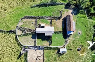Fazenda à venda – 160 alqueires – ortigueira/pr – estrutura completa e localização privileg