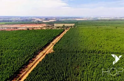 Fazenda com eucalipto à venda em itu/sp – renda garantida com arrendamento à suzano