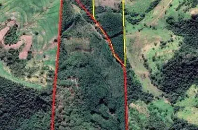 Fazenda à venda – 31.5 alqueires – estrutura completa para lavoura e gado – em apucarana pr