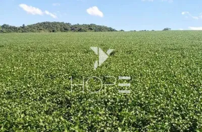 Chácara / sítio com 4 quartos à venda na R. Quatiguá, km - 11, Zona Rural, Tomazina