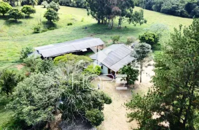 Chácara / sítio com 1 quarto à venda na Ibaiti, 00, Centro, Ibaiti