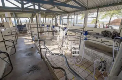 Fazenda à Venda Proximo a Marília/SP – 190 Alqueires – abundante em Agua – Topografia Excele