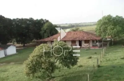 Fazenda de 3.512 Alqueires à Venda – Muricilândia/TO – Estrutura Completa e Alta Capacidade Pe