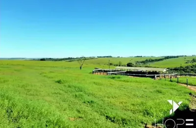 Fazenda de 217 Alqueires – Localização Estratégica na Beira da Rodovia, a Apenas 50 km de Campo