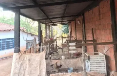 Fazenda à Venda em Mirassolândia/SP – 14 Alqueires Paulista (33,88 ha) – 7.500 Seringueiras em