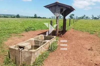 Sítio à venda 13 alqueires pecuária benfeitorias completas – Porto São José – São Pedro do