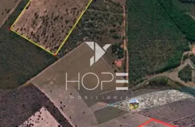ÁREA para loteamento à venda 226.000m² 9.33 alqueires – expansão urbana – Três Lagoas