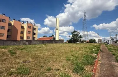 Terreno comercial à venda na Avenida Pintassilgo, 1910, Parque das Laranjeiras, Maringá