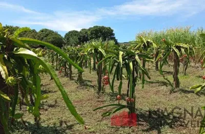 Chácara / sítio com 2 quartos à venda na Estrada Sarandi, 700, Zona Rural, Marialva