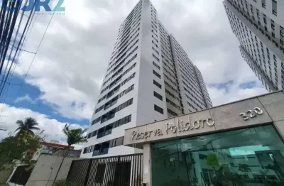 Aluguel apartamento reserva polidoro na cidade universitária
