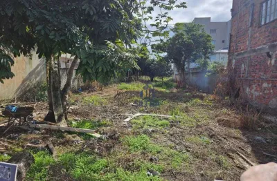 Terreno à venda, 375 m² por r$ 450.000,00 - brandalize - itapoá/sc