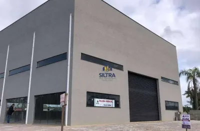 Área para alugar, 285 m² por r$ 10.000,00/mês - sai mirim - itapoá/sc