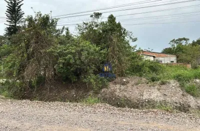 Terreno à venda, 352 m² por r$ 170.000 - balneário santa clara - itapoá/sc