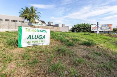 Terreno comercial para alugar na Avenida Joaquim Duarte Moleirinho, 2402, Jardim Cidade Monções, Maringá