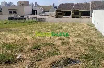 Terreno comercial para locação - proximo ao churrasqueiro - av. joaquim duarte moleirinho