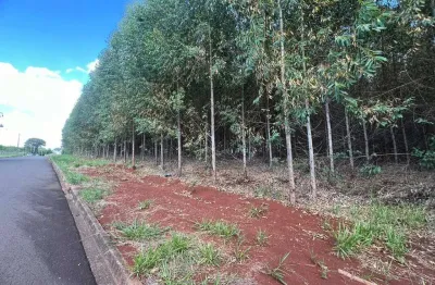 Terreno à venda na Rua Pioneiro José Tel, 1875, Jardim Guaporé, Maringá
